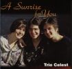 Welcome to Trio Celest – Bun venit la pagina grupului muzical Trio Celest!